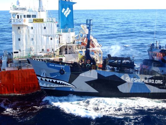 Sea Shepherd Ship Bob Barker