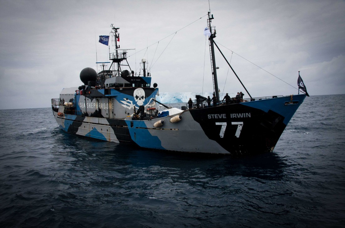 Sea Shepherd Steve Irwin 2